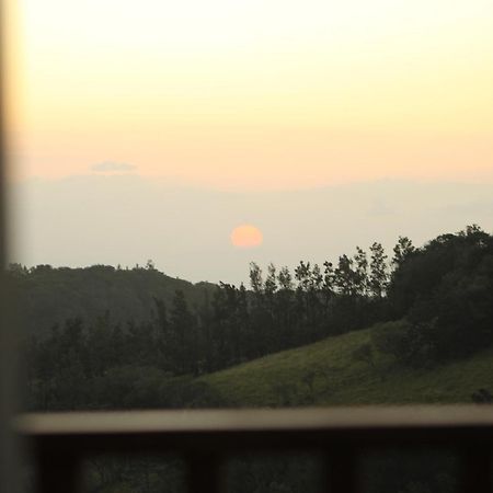 Hotel Bosque Verde Lodge Monteverde ห้อง รูปภาพ