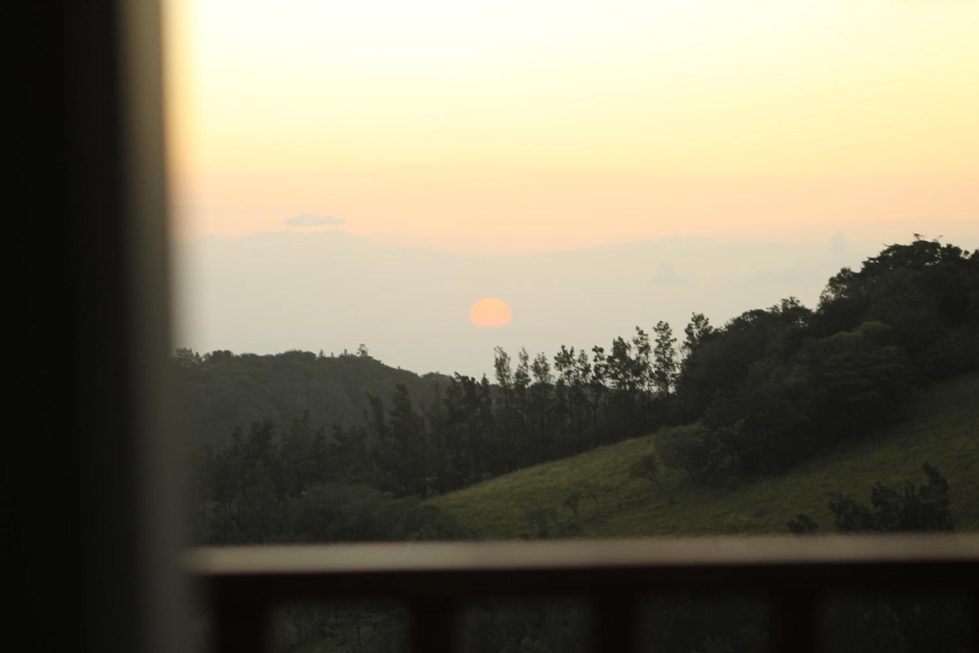 Hotel Bosque Verde Lodge Monteverde ห้อง รูปภาพ