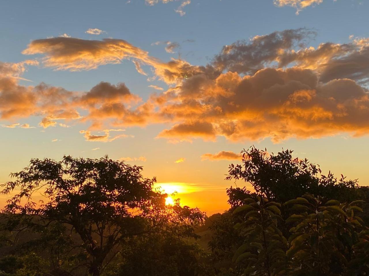Hotel Bosque Verde Lodge Monteverde ภายนอก รูปภาพ