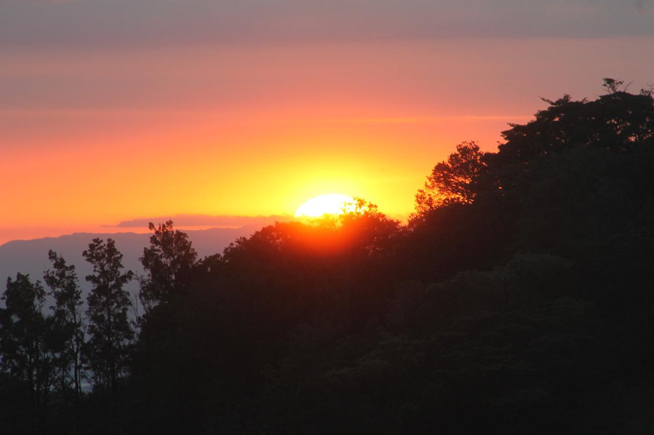 Hotel Bosque Verde Lodge Monteverde ภายนอก รูปภาพ