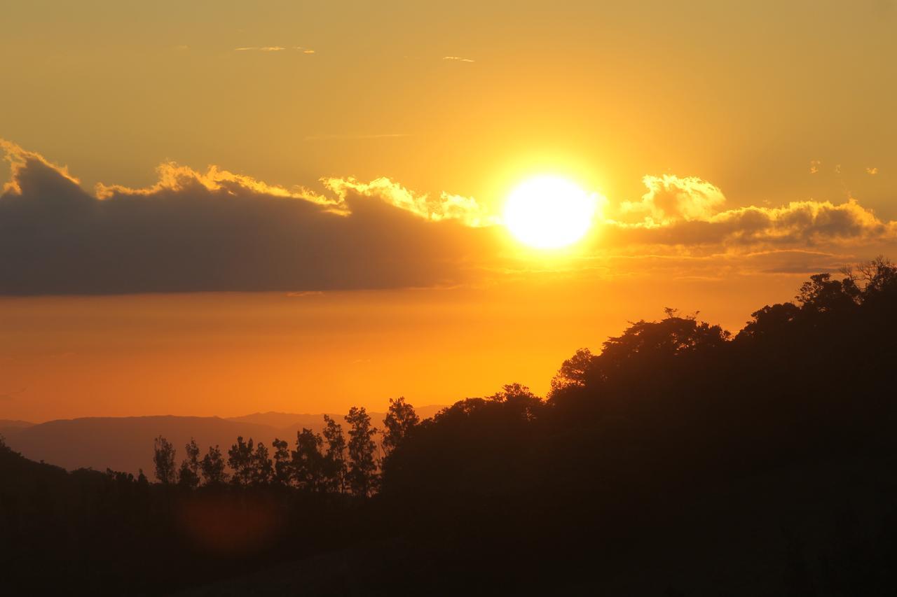 Hotel Bosque Verde Lodge Monteverde ภายนอก รูปภาพ