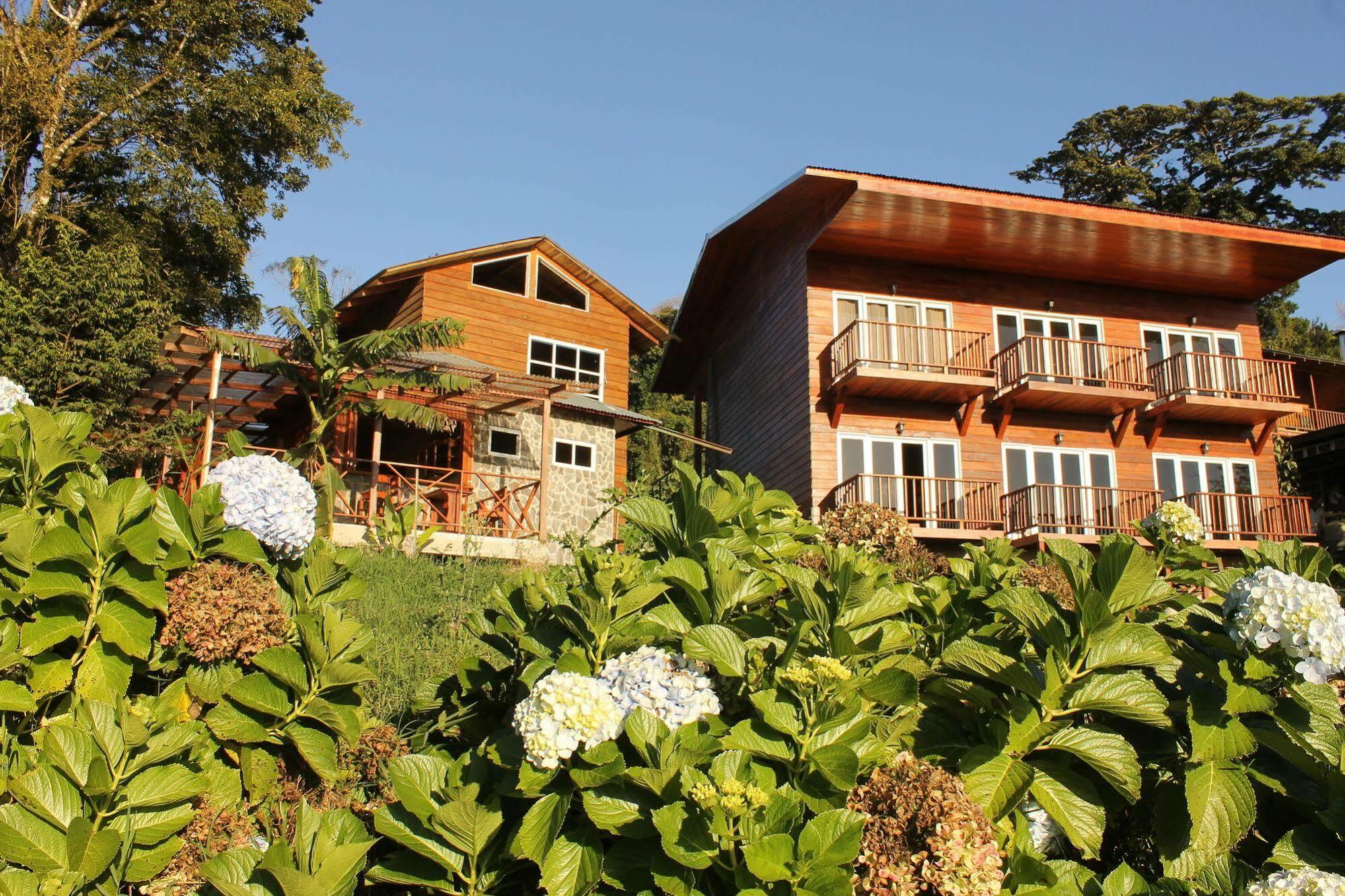 Hotel Bosque Verde Lodge Monteverde ภายนอก รูปภาพ
