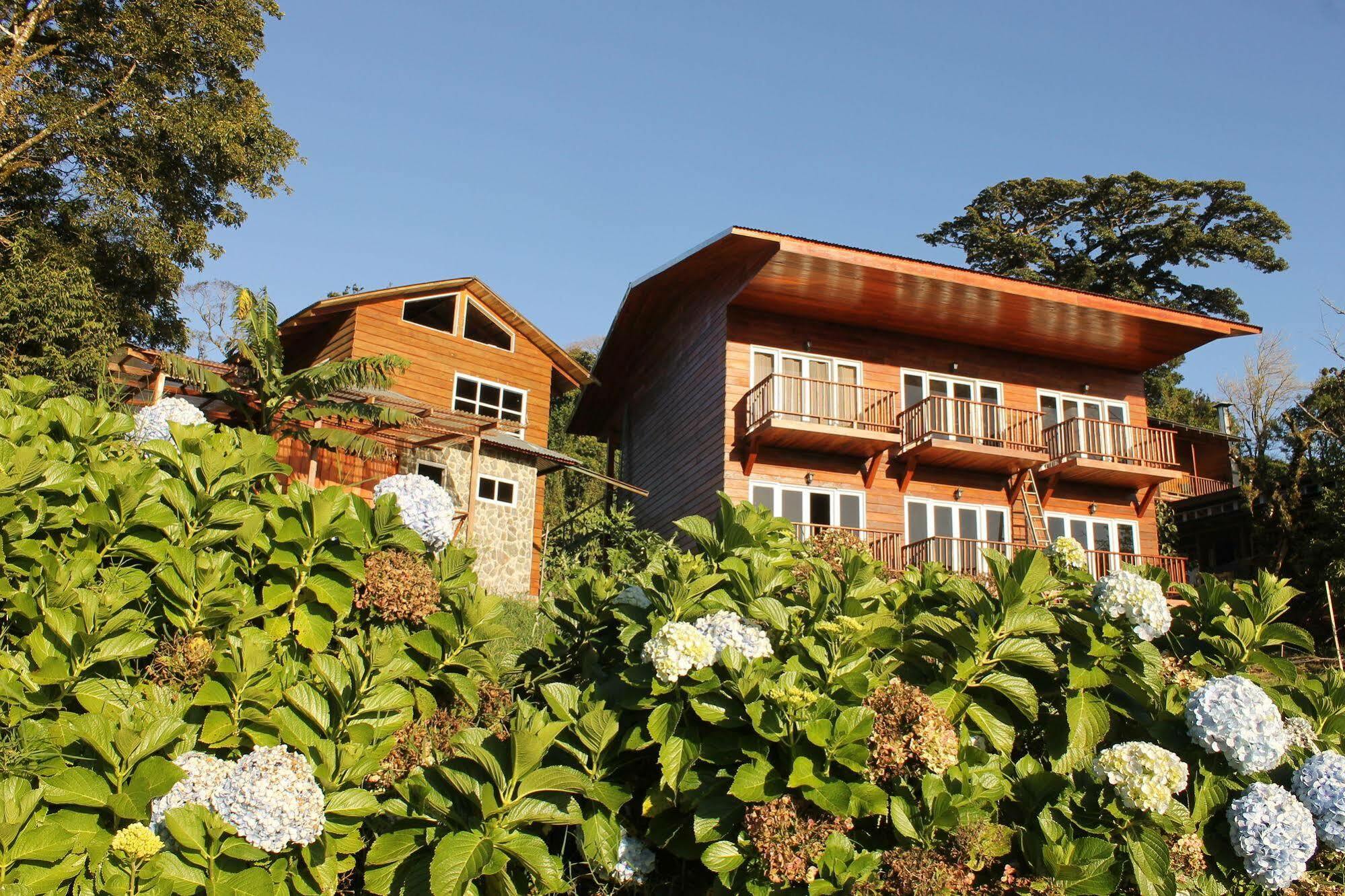 Hotel Bosque Verde Lodge Monteverde ภายนอก รูปภาพ