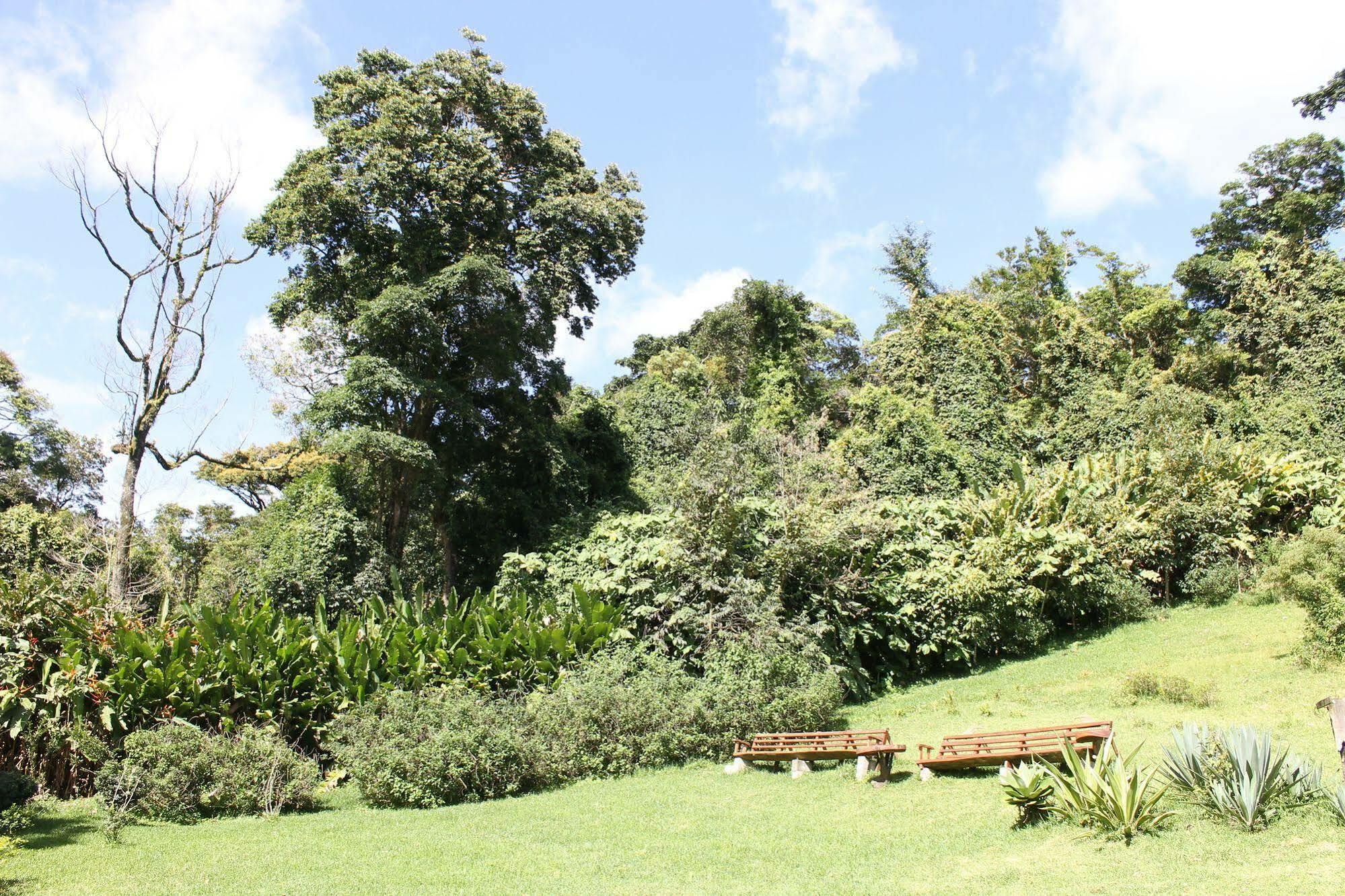 Hotel Bosque Verde Lodge Monteverde ภายนอก รูปภาพ
