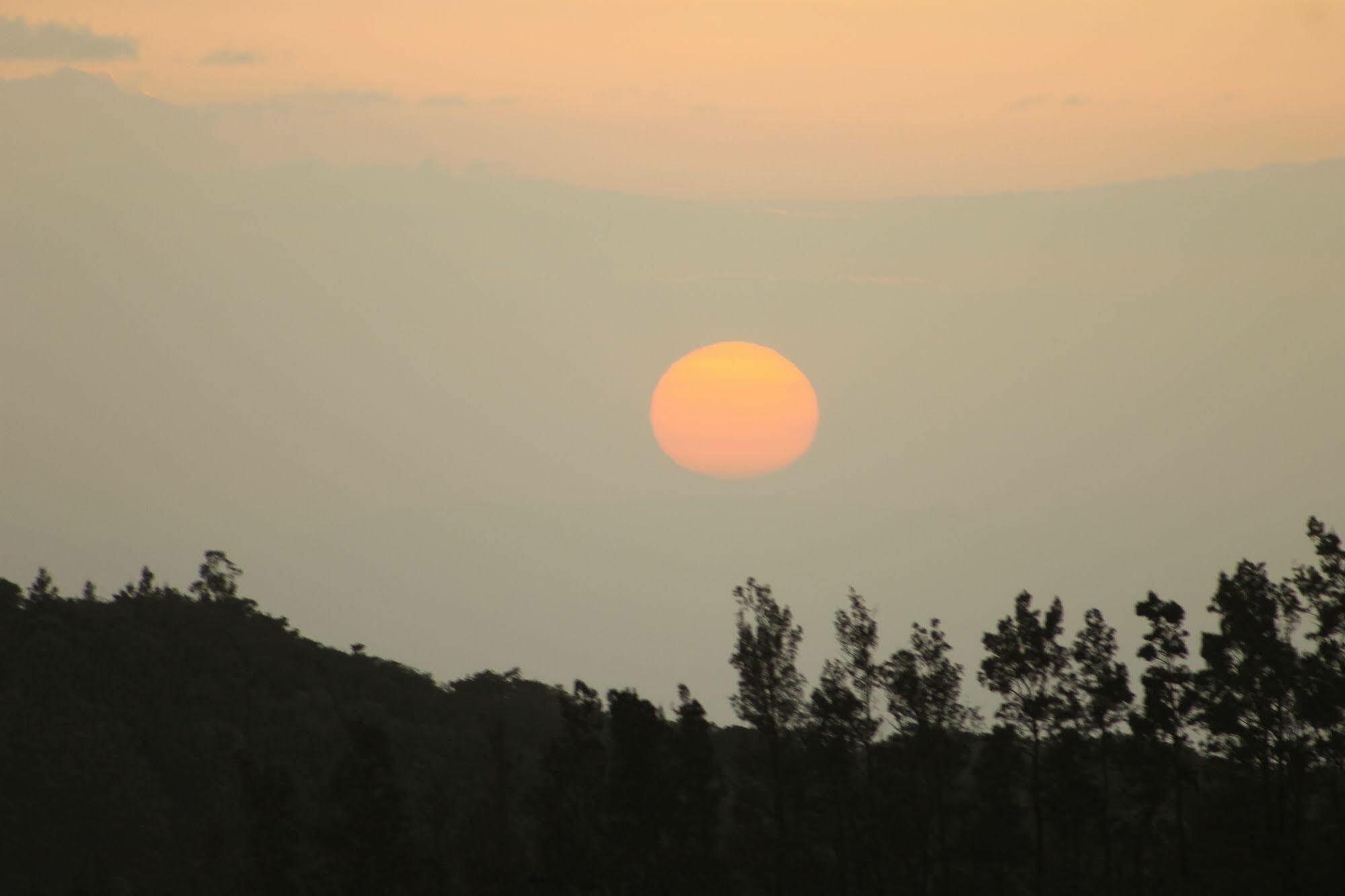 Hotel Bosque Verde Lodge Monteverde ภายนอก รูปภาพ