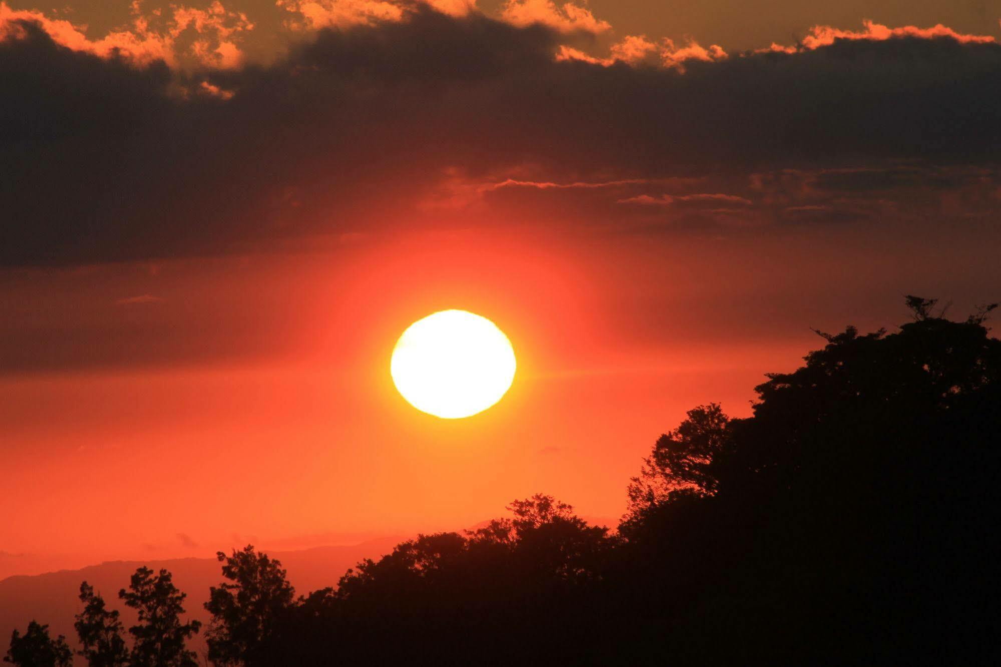 Hotel Bosque Verde Lodge Monteverde ภายนอก รูปภาพ